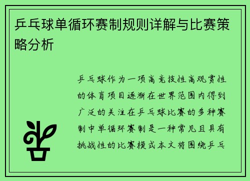 乒乓球单循环赛制规则详解与比赛策略分析
