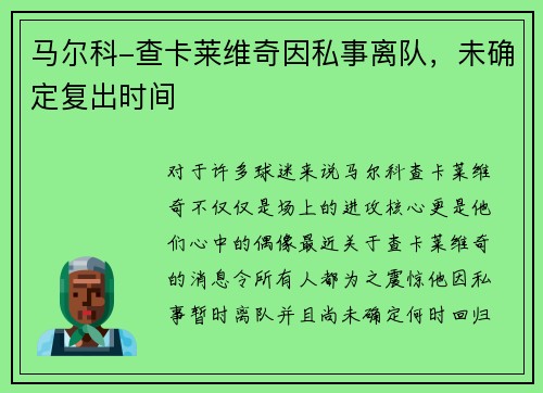 马尔科-查卡莱维奇因私事离队，未确定复出时间